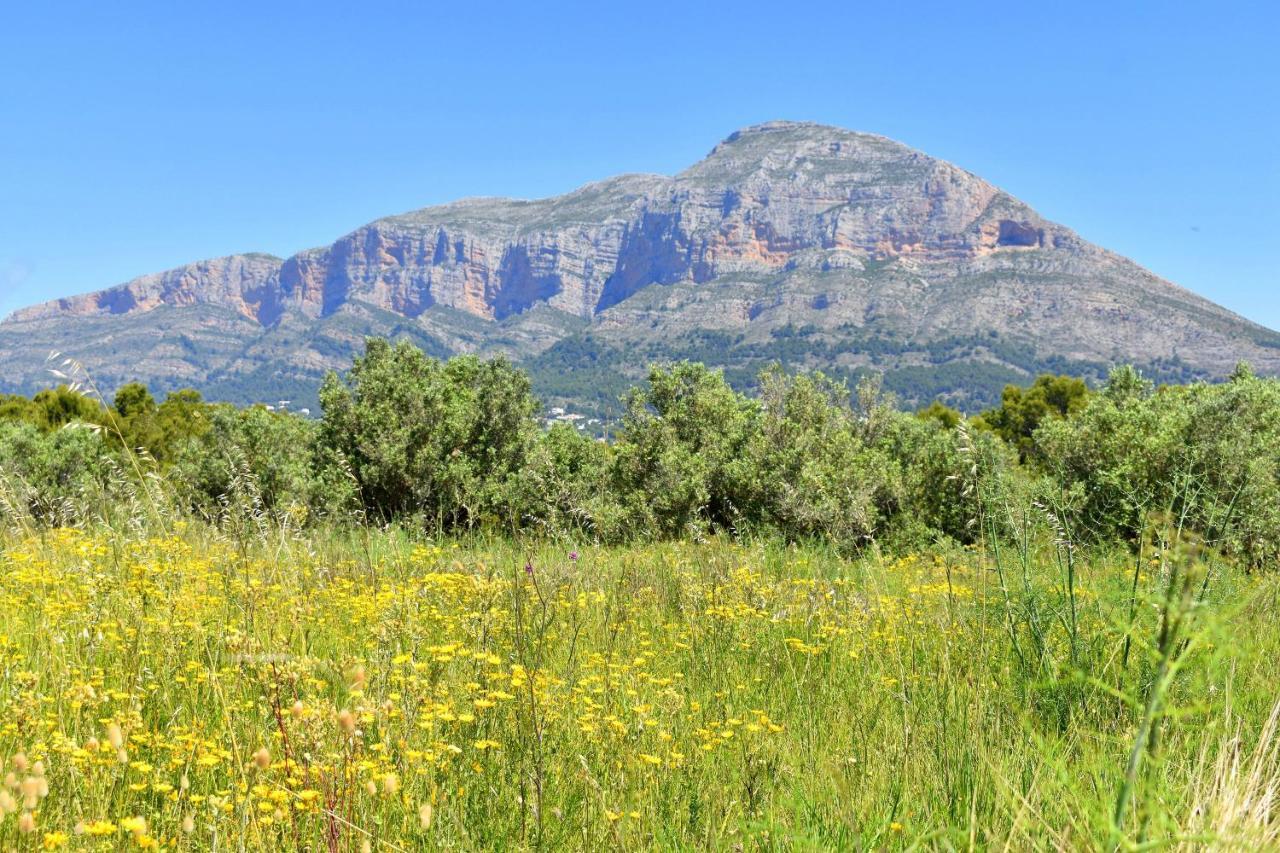 Apartamento Jardines Del Saladar Javea - 5038 エクステリア 写真